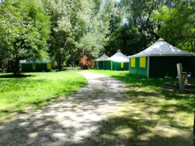 CAMPING DU LION