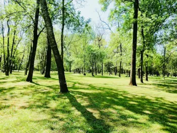 Stellplatz - Stellplatz (Zelt / 1 Auto) - CAMPING DU LION