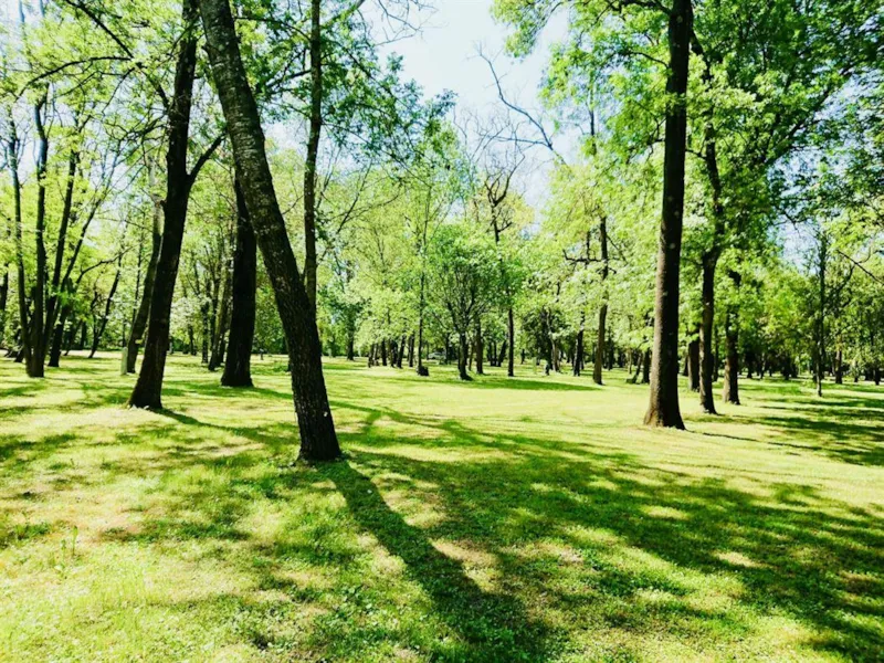 Forfait Randonneur/Cycliste