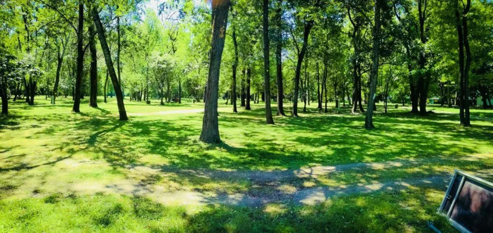 Emplacement - Forfait Randonneurs / Cyclistes - CAMPING DU LION