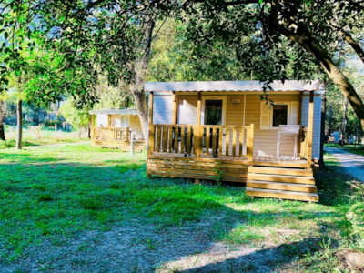 CAMPING DU LION