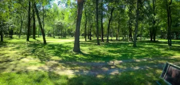 Stellplatz - Stellplatz (Zelt, Wohnwagen, Wohnmobil / 1 Auto) - CAMPING DU LION
