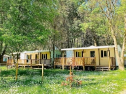 Huuraccommodatie(s) - Mobilhome Super Mercure +Airconditioning - CAMPING DU LION