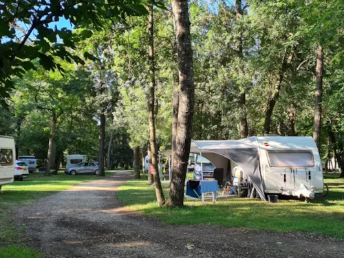 Emplacement - Forfait Emplacement (Tente Ou Caravane Ou Camping-Car / 1 Voiture) - image n°6 - CAMPING DU LION