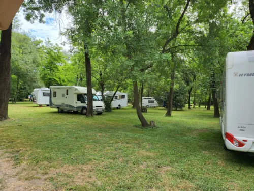 Emplacement - Forfait Emplacement (Tente Ou Caravane Ou Camping-Car / 1 Voiture) - image n°7 - CAMPING DU LION