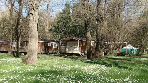 Location - Mobil Home Bois Alizé Avec Climatisation - image n°5 - CAMPING DU LION