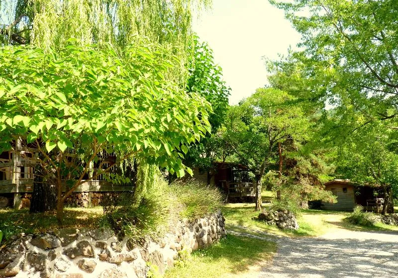 Chalet Lavande Basique