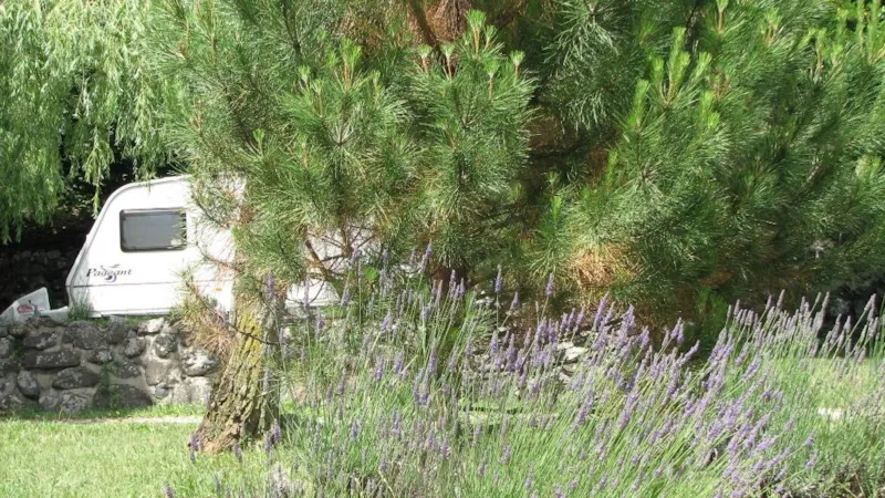 Emplacement + 1 Voiture + 1Tente Ou 1Caravane