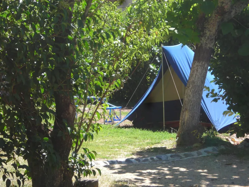 Emplacement + Tente Ou Caravane + 1 Voiture