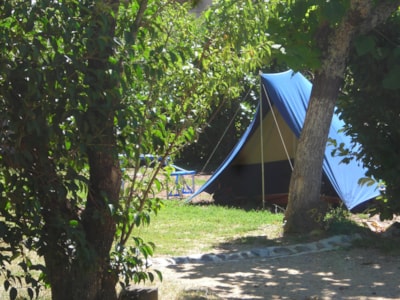 Pitch + car + tent or caravan + 1 person