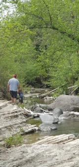 Foto #20 van Camping Les Lavandes