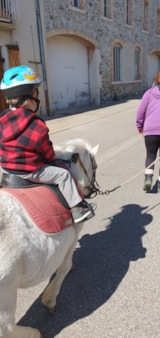 Foto #55 van Camping Les Lavandes