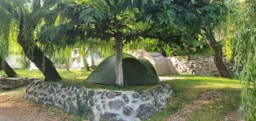 Camping Les Lavandes - image n°9 - Roulottes