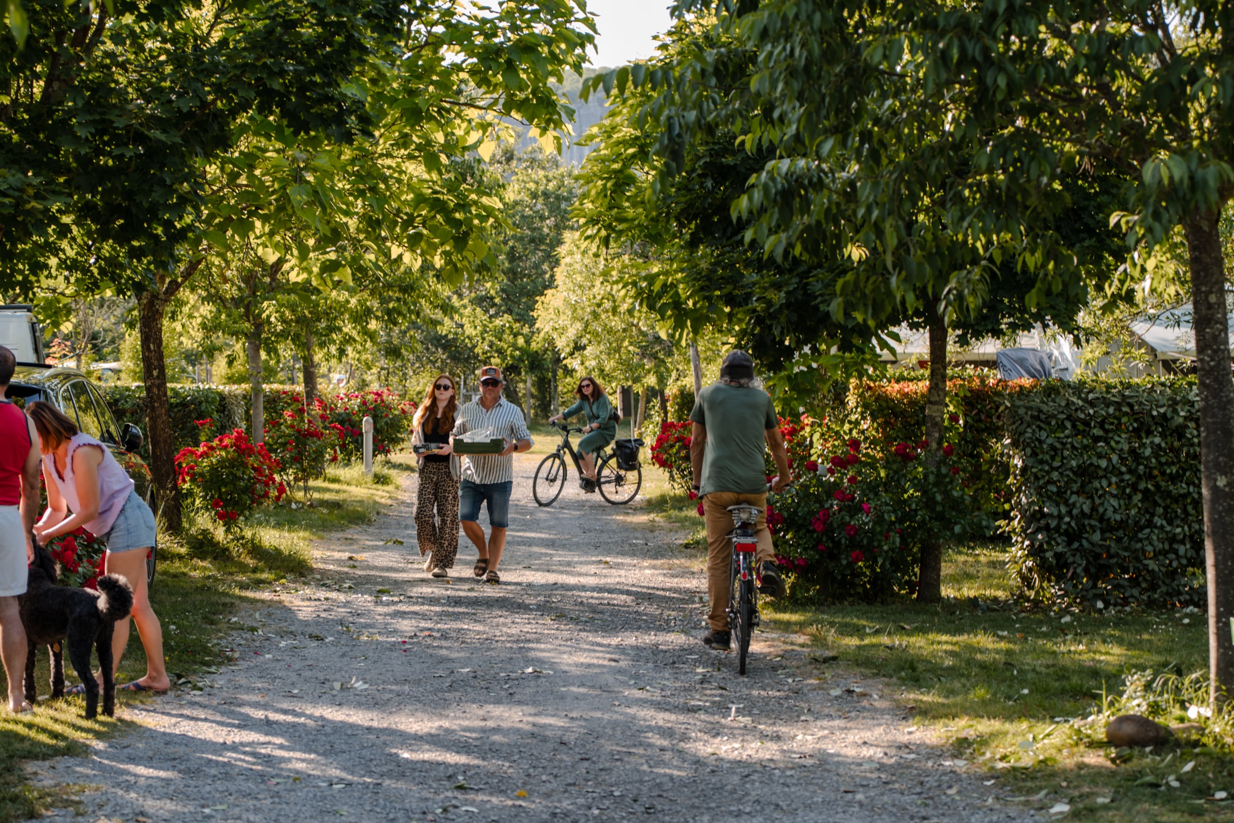 Camping du Pont — Photo 5