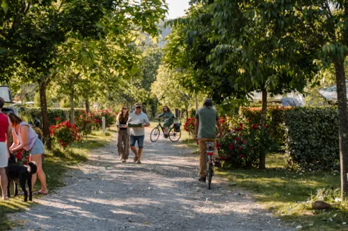 Emplacement - Emplacement Camping  Électricité 10 Amp. Inclus - image n°3 - Camping du Pont