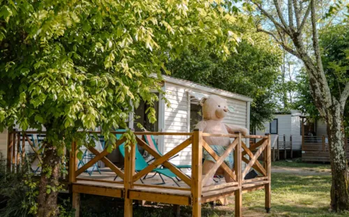 Location - Cottage  - 2 Chambres - 32M² Avec Terrasse - Climatisation - Tv . - image n°1 - Camping du Pont