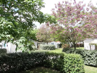 CAMPING LES HORTENSIAS - image n°3 - Camping Direct