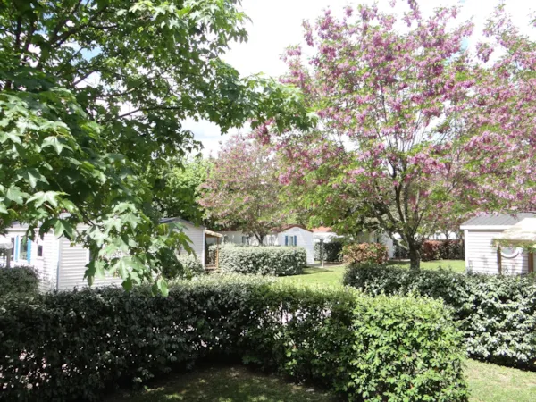 CAMPING LES HORTENSIAS