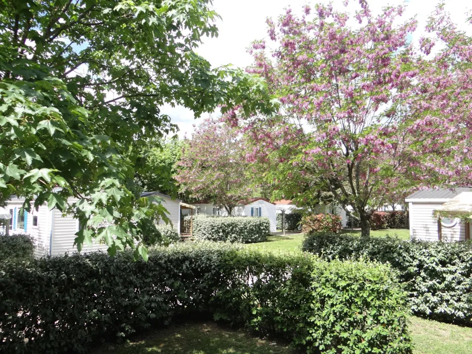 CAMPING LES HORTENSIAS