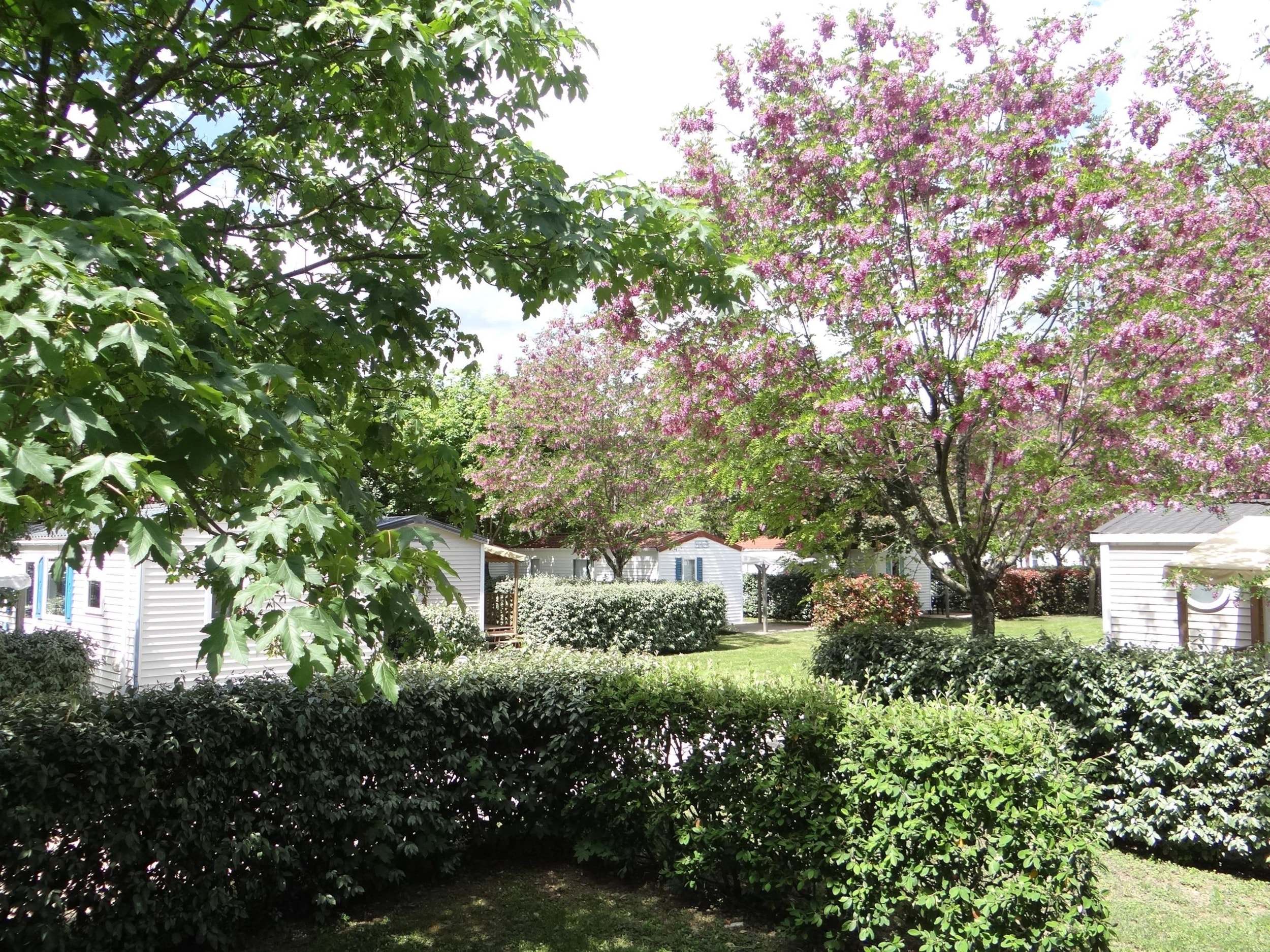 CAMPING LES HORTENSIAS — Photo 3