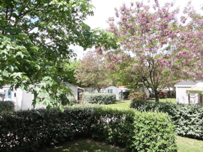 CAMPING LES HORTENSIAS