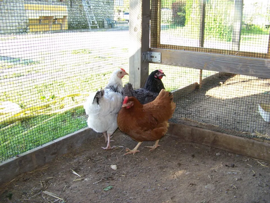 CAMPING LES HORTENSIAS
