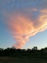 Foto #9 van Camping Les Hortensias