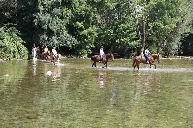 CAMPING LE CHASSEZAC