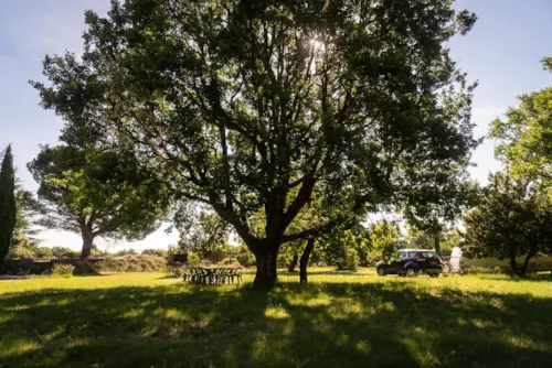 Emplacement - Emplacement - image n°3 - CAMPING DOMAINE DE BRIANGE