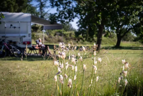 Emplacement - Emplacement - image n°4 - CAMPING DOMAINE DE BRIANGE