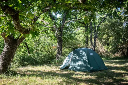 Emplacement - Emplacement - image n°5 - CAMPING DOMAINE DE BRIANGE