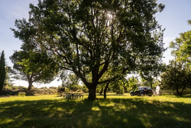 CAMPING DOMAINE DE BRIANGE - image n°1 - Camping Direct
