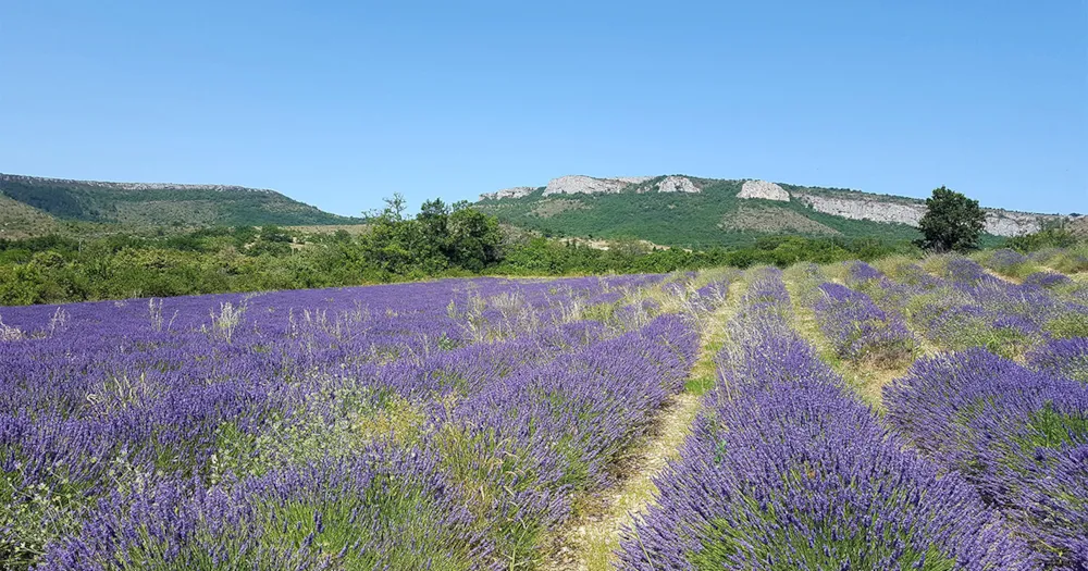 CAMPING DOMAINE DE BRIANGE - image n°36 - Ardeche
