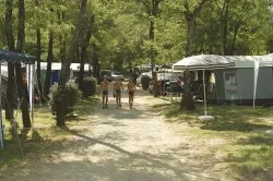 Emplacement - Kampeerplaats caravan / tent/electricity 10 amp/ minimun 7 night to reserve/ check in  6 pm maxi - Camping Beau Rivage