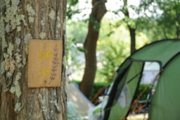 Camping Le Clapas - image n°5 - Roulottes