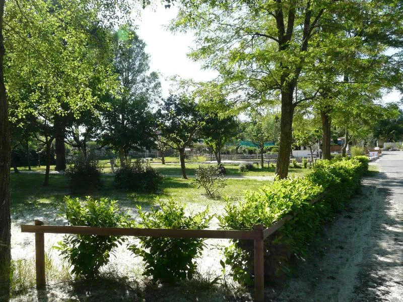 Forfait Emplacement (1Tente ,1 Caravane Ou 1 Camping-Car +1 Voiture) Sans Electricité