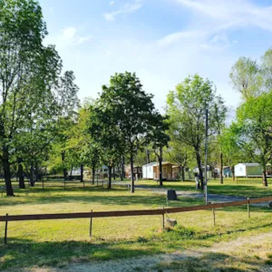  - Pitch tent or caravan and car or camping-car without electyicity - Camping le Verger de Jastres