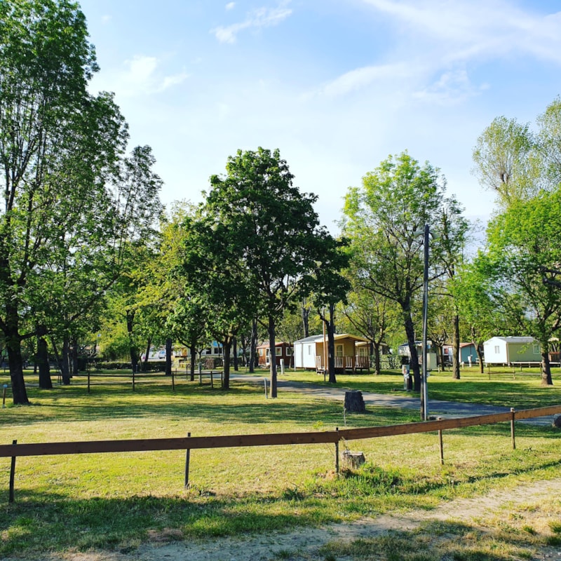STELLPLATZ FÜR EIN KLEINES ZELT