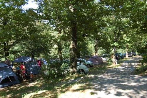 Pitch - Pitch For 2 People + 1 Vehicle Or Camper Van + Tent Or Caravan - image n°8 - CAMPING DE BELOS