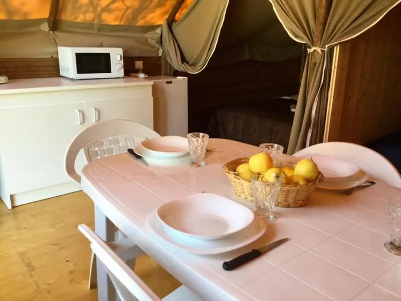 Trappeur Wapiti/ Koala