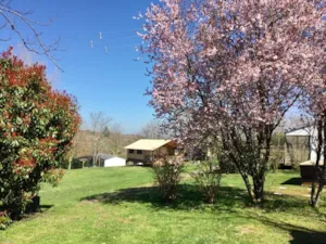 Locatif - Lodge Manon - Camping du Bas Larin