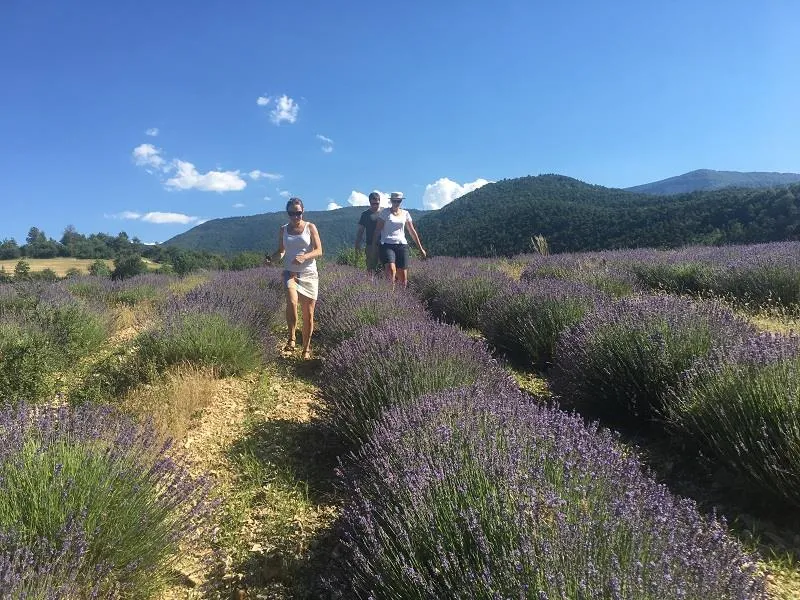 Flower Camping Les Hauts de Rosans