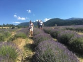 Flower Camping Les Hauts de Rosans