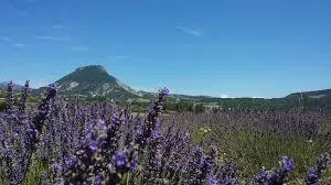 Flower Camping Les Hauts de Rosans