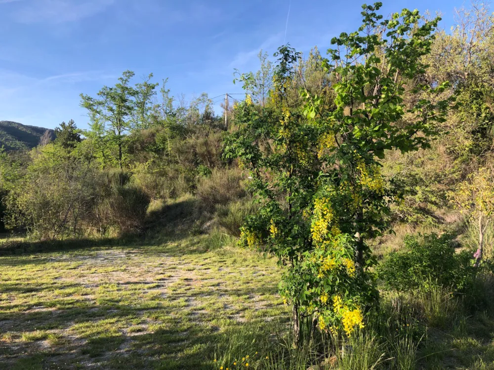 Emplacement - Forfait Privilège - Emplacement Tente, Caravane Ou Camping-Car (1 Voiture / Électricité) + Point Eau - Flower Camping Les Hauts de Rosans