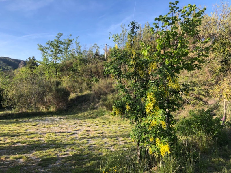 Piazzola Privilège (1 tenda, roulotte, camper / 1 auto / Elettricità) + scarico