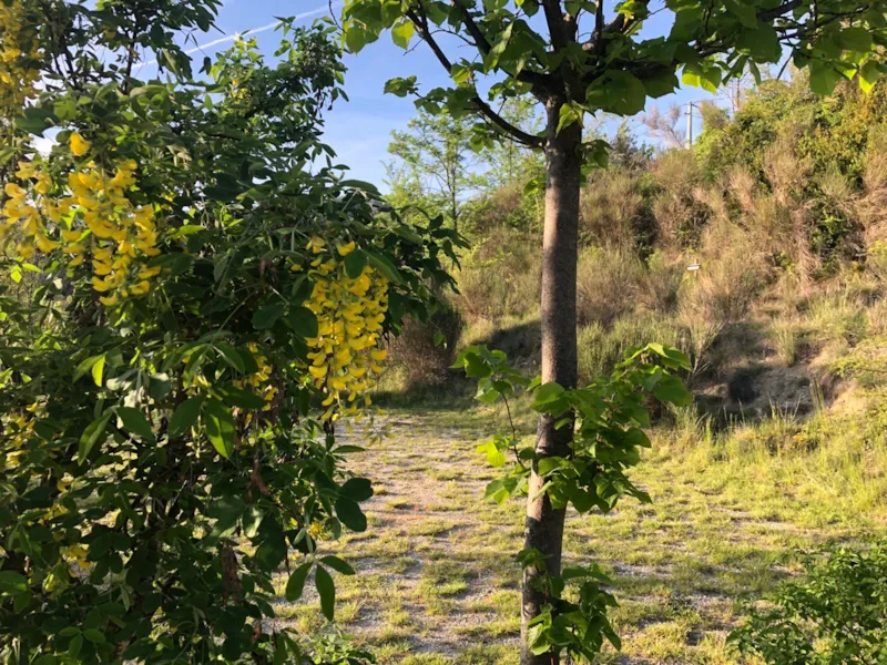 Forfait Confort - Emplacement Tente, Caravane Ou Camping-Car (1 Voiture / Électricité)