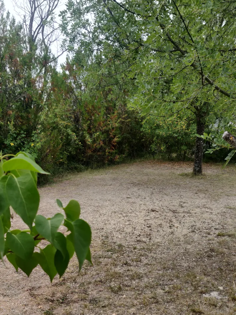 Forfait Confort - Emplacement Tente, Caravane Ou Camping-Car (1 Voiture / Électricité)