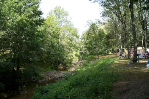 Stellplatz - Emplacement Aluna Festival - image n°4 - Camping Le Roubreau