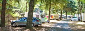Emplacement - Pitch + vehicle - Camping Le Roubreau